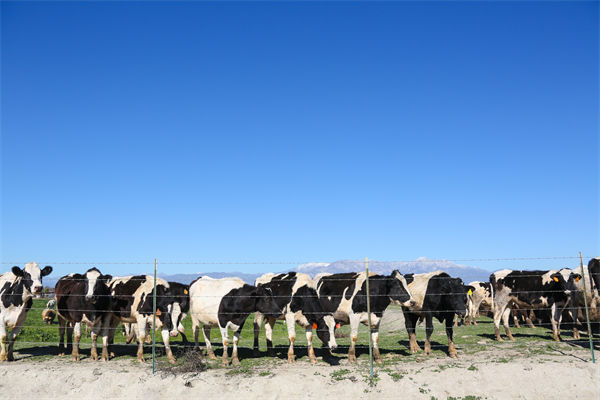 中科院植入式脑机接口大突破：自动变形 贴附于大脑核心